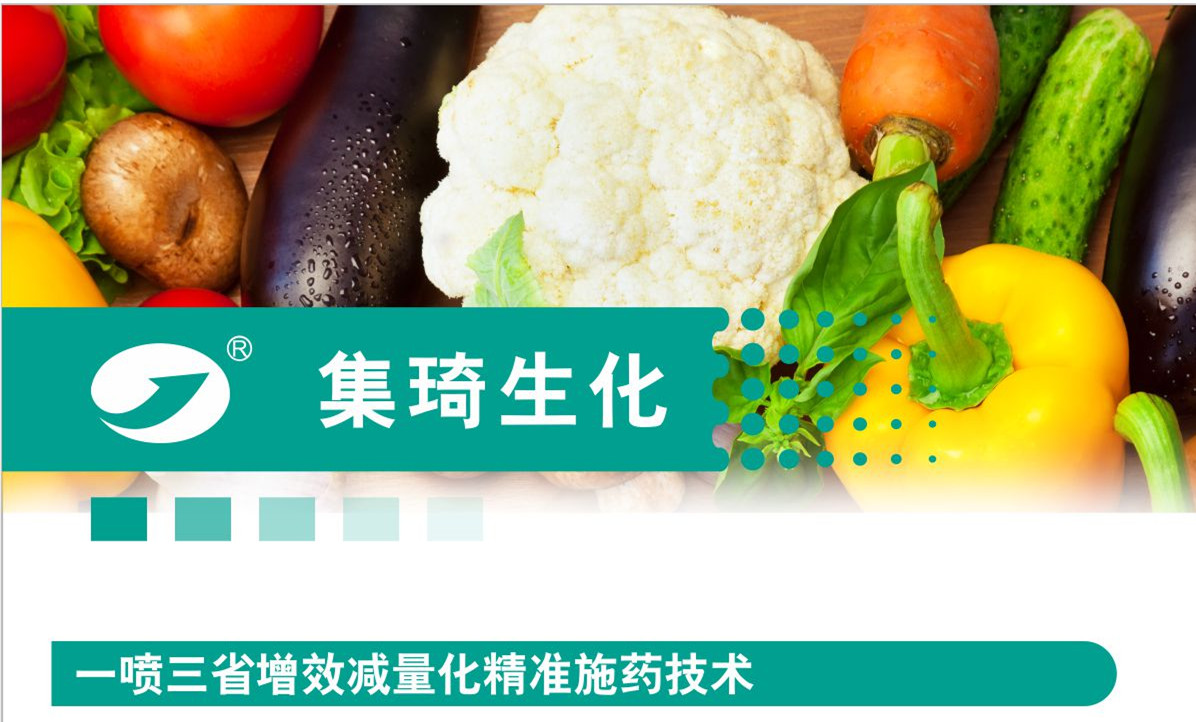 一噴三省增效減量化精準施藥技術在蔬菜上的應用