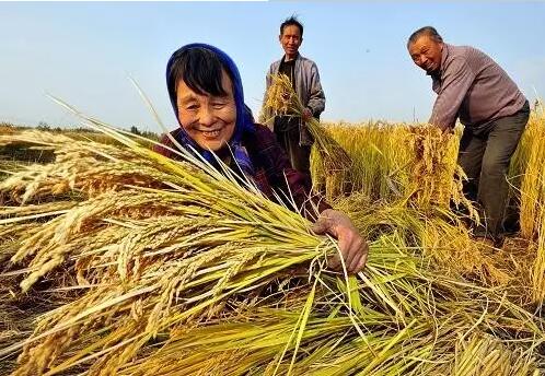 重磅！繼包產(chǎn)到戶(hù)之后，我國(guó)農(nóng)村又一次迎來(lái)重大改革