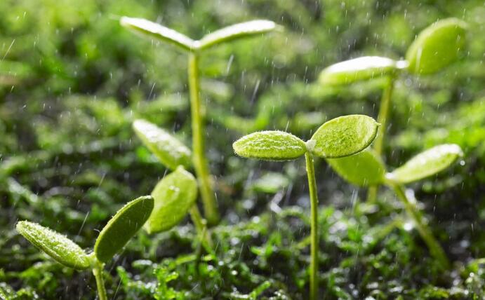 動態(tài) | 生物刺激劑多重效果大揭秘，可減少百萬噸氮肥的投入！